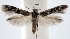  ( - jflandry1396)  @13 [ ] Copyright (2007) Unspecified Canadian National Collection