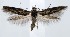  ( - jflandry1410)  @14 [ ] Copyright (2007) Unspecified Canadian National Collection