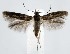  ( - jflandry1415)  @13 [ ] Copyright (2007) Unspecified Canadian National Collection