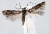  ( - jflandry1419)  @13 [ ] Copyright (2007) Unspecified Canadian National Collection