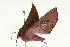  ( - 06-TASB-01390)  @14 [ ] Copyright (2010) Unspecified Unspecified