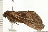  ( - 08-TASE-0123)  @12 [ ] CreativeCommons - Attribution (2009) Unspecified Centre for Biodiversity Genomics