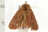  ( - 08-TASE-0195)  @13 [ ] CreativeCommons - Attribution (2009) Unspecified Centre for Biodiversity Genomics