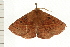  ( - 08-TASE-0197)  @13 [ ] CreativeCommons - Attribution (2009) Unspecified Centre for Biodiversity Genomics