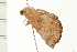  ( - 08-TASE-0213)  @13 [ ] CreativeCommons - Attribution (2009) Unspecified Centre for Biodiversity Genomics