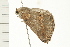  ( - 08-TASE-0214)  @13 [ ] CreativeCommons - Attribution (2009) Unspecified Centre for Biodiversity Genomics