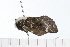  ( - 08-TASE-0235)  @13 [ ] CreativeCommons - Attribution (2009) Unspecified Centre for Biodiversity Genomics