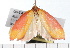  ( - 08-TASE-0245)  @13 [ ] CreativeCommons - Attribution (2009) Unspecified Centre for Biodiversity Genomics