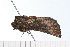  ( - 08-TASE-0255)  @12 [ ] CreativeCommons - Attribution (2009) Unspecified Centre for Biodiversity Genomics