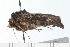  ( - 08-TASE-0292)  @11 [ ] CreativeCommons - Attribution (2009) Unspecified Centre for Biodiversity Genomics