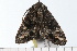  ( - 08-TASE-0304)  @11 [ ] CreativeCommons - Attribution (2009) Unspecified Centre for Biodiversity Genomics