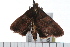  ( - 08-TASE-0407)  @12 [ ] CreativeCommons - Attribution (2009) Unspecified Centre for Biodiversity Genomics