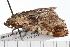  ( - 08-TASE-0462)  @12 [ ] CreativeCommons - Attribution (2009) Unspecified Centre for Biodiversity Genomics