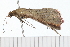  ( - 08-TASE-0538)  @12 [ ] CreativeCommons - Attribution (2009) Unspecified Centre for Biodiversity Genomics