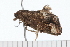  ( - 08-TASE-0544)  @12 [ ] CreativeCommons - Attribution (2009) Unspecified Centre for Biodiversity Genomics
