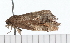  ( - 08-TASE-0564)  @12 [ ] CreativeCommons - Attribution (2009) Unspecified Centre for Biodiversity Genomics