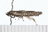  ( - 08-TASE-0599)  @12 [ ] CreativeCommons - Attribution (2009) Unspecified Centre for Biodiversity Genomics