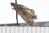  ( - 08-TASE-0620)  @13 [ ] CreativeCommons - Attribution (2009) Unspecified Centre for Biodiversity Genomics