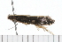  ( - 08-TASE-0646)  @14 [ ] CreativeCommons - Attribution (2009) Unspecified Centre for Biodiversity Genomics