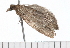  ( - 08-TASE-0648)  @13 [ ] CreativeCommons - Attribution (2009) Unspecified Centre for Biodiversity Genomics