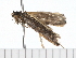  ( - 08-TASE-0679)  @13 [ ] CreativeCommons - Attribution (2009) Unspecified Centre for Biodiversity Genomics