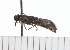  ( - 08-TASE-0684)  @12 [ ] CreativeCommons - Attribution (2009) Unspecified Centre for Biodiversity Genomics
