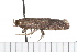  ( - 08-TASE-0712)  @12 [ ] CreativeCommons - Attribution (2009) Unspecified Centre for Biodiversity Genomics