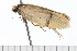  ( - 08-TASE-0804)  @13 [ ] CreativeCommons - Attribution (2009) Unspecified Centre for Biodiversity Genomics