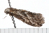  ( - 08-TASE-0814)  @12 [ ] CreativeCommons - Attribution (2009) Unspecified Centre for Biodiversity Genomics