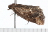  ( - 08-TASE-0815)  @12 [ ] CreativeCommons - Attribution (2009) Unspecified Centre for Biodiversity Genomics