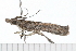  ( - 08-TASE-0835)  @13 [ ] CreativeCommons - Attribution (2009) Unspecified Centre for Biodiversity Genomics
