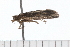  ( - 08-TASE-0844)  @12 [ ] CreativeCommons - Attribution (2009) Unspecified Centre for Biodiversity Genomics