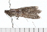  ( - 08-TASE-0848)  @13 [ ] CreativeCommons - Attribution (2009) Unspecified Centre for Biodiversity Genomics
