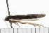  ( - 08-TASE-0850)  @13 [ ] CreativeCommons - Attribution (2009) Unspecified Centre for Biodiversity Genomics