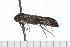  ( - 08-TASE-0857)  @13 [ ] CreativeCommons - Attribution (2009) Unspecified Centre for Biodiversity Genomics