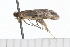  ( - 08-TASE-0862)  @12 [ ] CreativeCommons - Attribution (2009) Unspecified Centre for Biodiversity Genomics