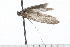  ( - 08-TASE-0872)  @14 [ ] CreativeCommons - Attribution (2009) Unspecified Centre for Biodiversity Genomics