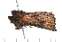  ( - 08-TASE-0320)  @12 [ ] CreativeCommons - Attribution (2009) Unspecified Centre for Biodiversity Genomics