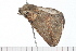  ( - 08-TASE-0350)  @13 [ ] CreativeCommons - Attribution (2009) Unspecified Centre for Biodiversity Genomics