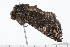  ( - 08-TASE-0367)  @11 [ ] CreativeCommons - Attribution (2009) Unspecified Centre for Biodiversity Genomics