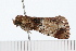  ( - 08-TASE-0381)  @13 [ ] CreativeCommons - Attribution (2009) Unspecified Centre for Biodiversity Genomics