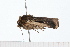  ( - 08-TASE-0383)  @13 [ ] CreativeCommons - Attribution (2009) Unspecified Centre for Biodiversity Genomics