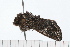  ( - 08-TASE-0387)  @11 [ ] CreativeCommons - Attribution (2009) Unspecified Centre for Biodiversity Genomics