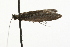  ( - 08-TASE-0880)  @13 [ ] CreativeCommons - Attribution (2009) Unspecified Centre for Biodiversity Genomics