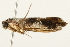  ( - 09TASF-0097)  @13 [ ] CreativeCommons - Attribution (2010) Unspecified Centre for Biodiversity Genomics