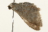  ( - 09TASF-0107)  @12 [ ] CreativeCommons - Attribution (2010) Unspecified Centre for Biodiversity Genomics