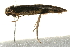  ( - 09TASF-0136)  @12 [ ] CreativeCommons - Attribution (2010) Unspecified Centre for Biodiversity Genomics