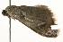  ( - 09TASF-0018)  @12 [ ] CreativeCommons - Attribution (2010) Unspecified Centre for Biodiversity Genomics