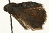  ( - 09TASF-0022)  @12 [ ] CreativeCommons - Attribution (2010) Unspecified Centre for Biodiversity Genomics