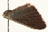  ( - 09TASF-0025)  @12 [ ] CreativeCommons - Attribution (2010) Unspecified Centre for Biodiversity Genomics